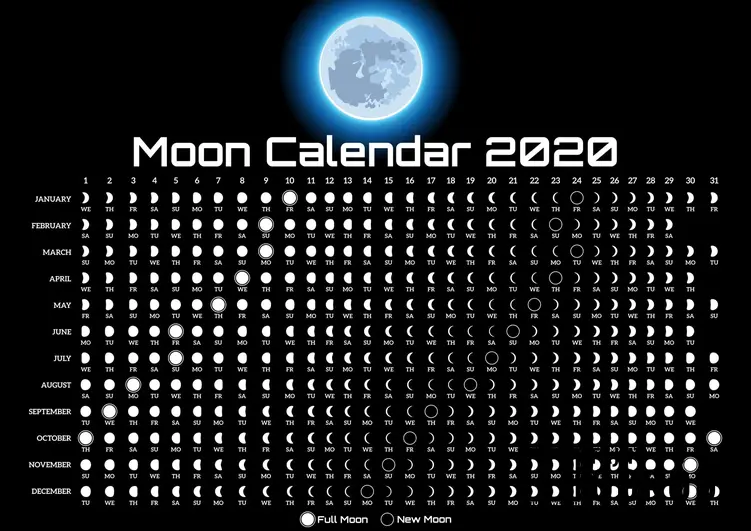 Kalendarz księżycowy ogrodnika na czarnym tle, czyli co mówi horoskop księżycowy