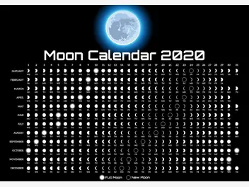 Ilustracja artykułu kalendarz księżycowy ogrodnika krok po kroku - co warto wiedzieć?