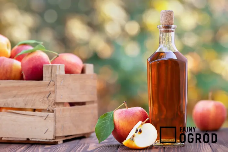 Cydr jabłkowy w butelce oraz skrzynka z jabłkami, a także przepis jak ztobić cydr jabłkowy