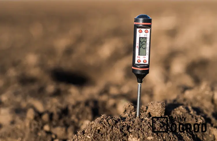 Miernik kwasowości gleby wbity w ziemię oraz domowe sposoby na to, jak i czym zakwasić ziemię