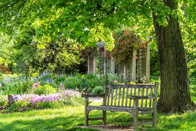 Jaka ławka ogrodowa lepsza – drewniana, plastikowa, metalowa czy może kamienna?