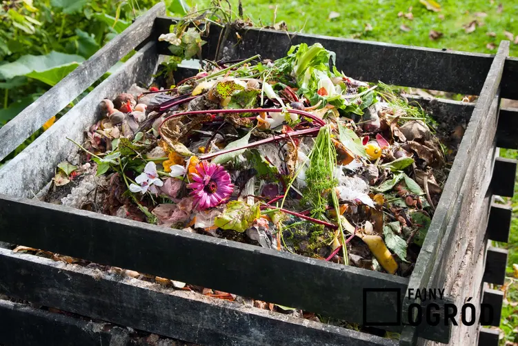 Kompost przygotowywany w skrzynce na działce, a także porady, jak używać kompost