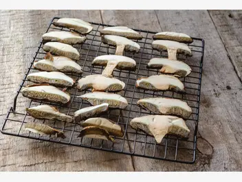 Ilustracja artykułu jak suszyć grzyby w piekarniku? odpowiadamy na wszystkie pytania
