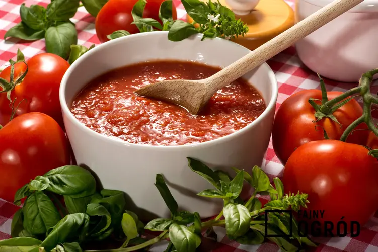 Przecier pomidorowy w miseczce, a także przepis na domowy przecier z pomidorów