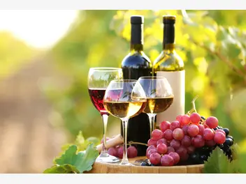 Ilustracja artykułu z jakich owoców zrobić najlepsze wino? oto nasze top 10
