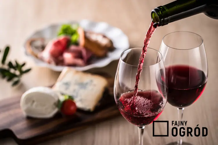 Nalewanie wina do kieliszków, a także wino z wingron, wino z derenia, wino z jarzębiny, wino z pigwy i przepisy