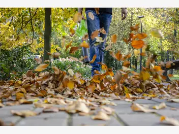 Ilustracja artykułu jakich narzędzi potrzebujesz do jesiennych prac w ogrodzie?