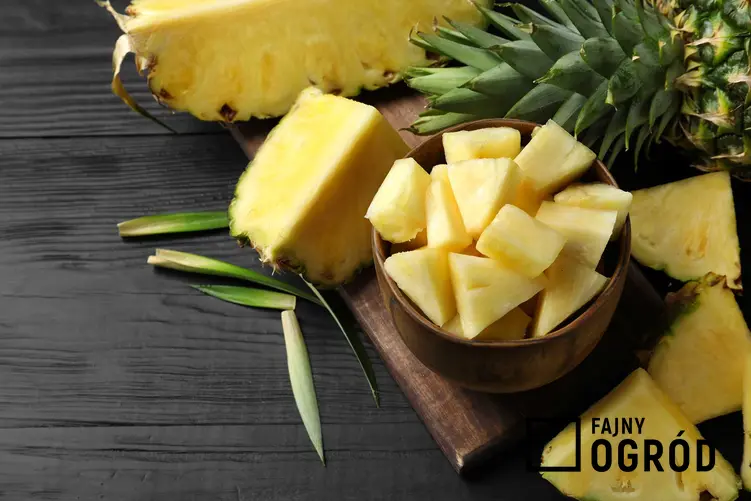 Pokrojony ananasa do sałatki z szynką i ananasem, a także najlepsze przepisy na sałatkę