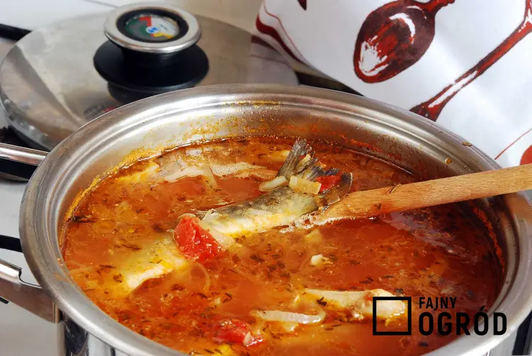 Wigilijna zupa rybna na kuchence, a także przygotowanie krok po kroku, najlepsze przepisy i składniki