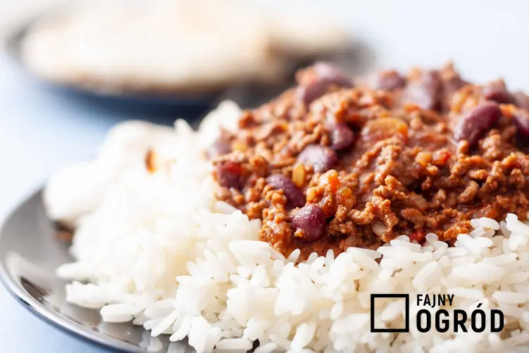 Chili con carne podawane z białym ryżem na talerzu, a także przepisy, przygotowanie oraz najlepsze składniki