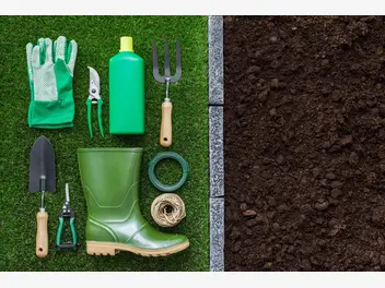 Ilustracja artykułu jak przygotować narzędzia ogrodnicze do sezonu?