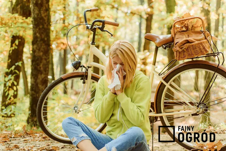 Kobieta siedząca w lesie i wycierająca nos z powodu alergii na pyłki, a także co aktualnie pyli krok po kroku