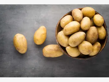 Ilustracja artykułu ziemniaki mączyste - odmiany, uprawa, zastosowanie, porady
