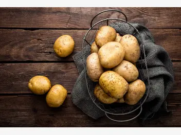 Ilustracja artykułu ziemniaki jelly - opis, uprawa, zastosowanie, porady