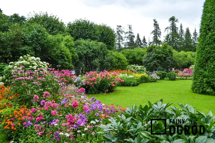 Piękny ogród ozdobiony licznymi bylinami i innymi roślinami wieloletniki, a także TOP 12 wyjątkowych kwiatów ogrodowych wieloletnich