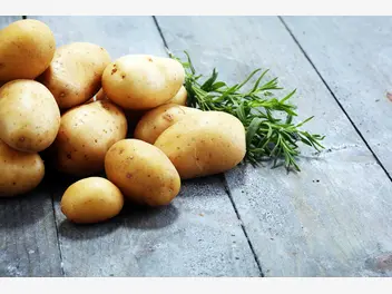 Ilustracja artykułu ziemniaki ‘gala’ - charakterystyka, sadzenie, wymagania, cena