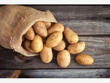 Ilustracja artykułu ziemniaki ‘bellarosa’ - opis, uprawa, wymagania, porady praktyczne
