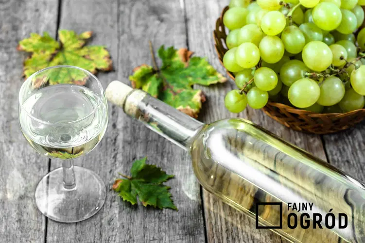 Białe wino z wingoron w kieliszku i butelce, a także jak wyklarować wino - sprawdzone sposoby i metody