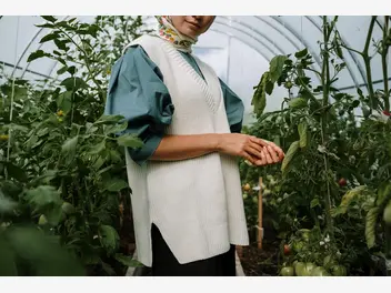 Ilustracja artykułu dlaczego warto hodować warzywa w tunelu ogrodowym?