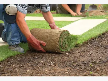 Ilustracja artykułu hydrożel przy zakładaniu trawnika - dlaczego warto go użyć?