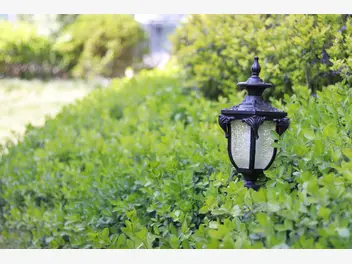 Ilustracja artykułu lampy ogrodowe – dlaczego warto oświetlać ogród i elewację domu?