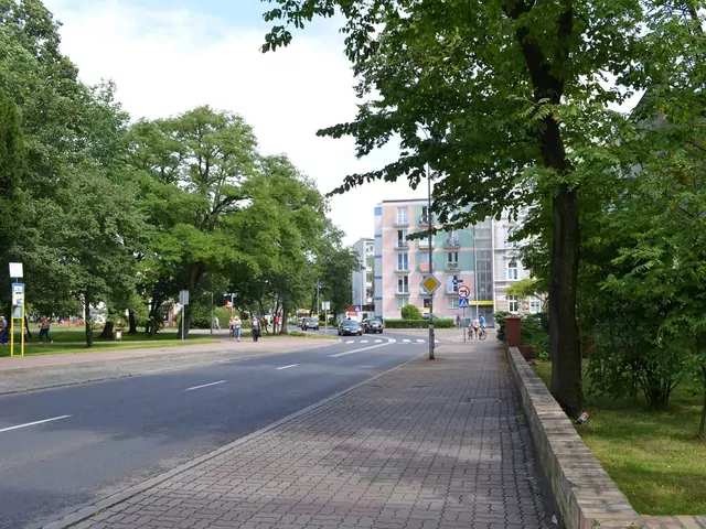 Najlepsze drzewa do oczyszczania powietrza