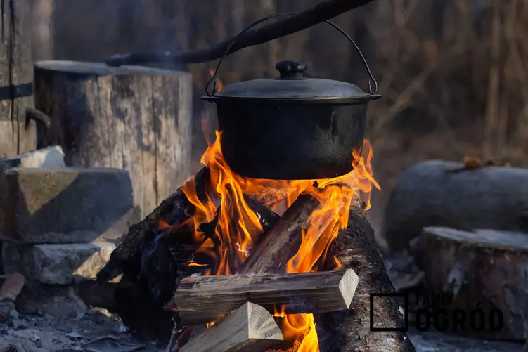 Przygotowanie kociołka myśliwskiego na ognisku, czyli tak zwane pieczonki, najlepsze przepisy na kociołek myśliwski, proste i smaczne rozwiązania