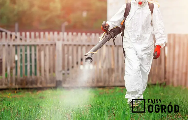Chemiczne zwalczanie komarów w ogrodzie środkami owadobójczymi na trawniku krok po kroku