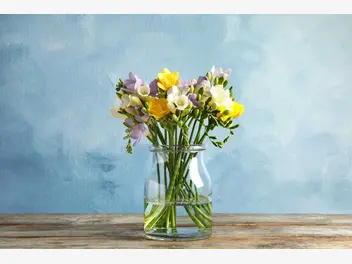 Ilustracja artykułu jak sprawić, żeby kwiaty cięte dłużej stały w wazonie?