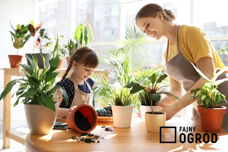 Mama z córką stoją przy stole, na którym postawione są doniczki z kwiatami, jak dbać o rośliny zimą