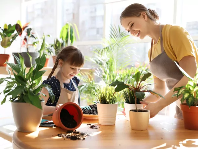 Ratowanie przemarzniętych roślin: poradnik