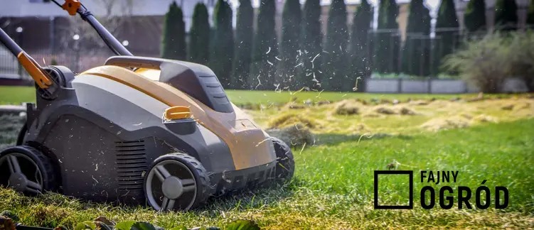 Aerator na trawniku, praktyczne porady jak napowietrzać trawnik, jak dbać o trawę i co daje aeracja