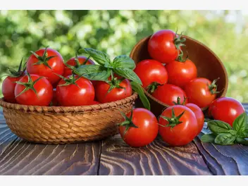 Ilustracja artykułu top 4 wartości odżywcze pomidora, o których nie mieliście pojęcia