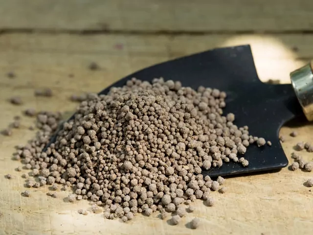 Superfosfat: opis, działanie, zastosowanie