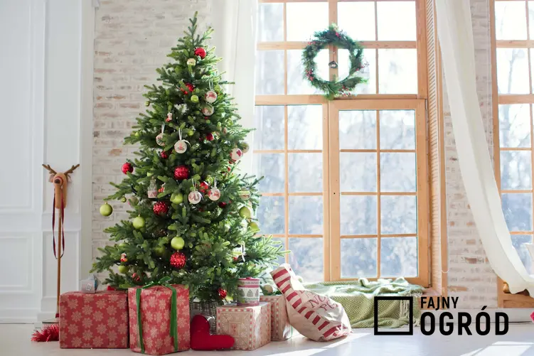 Choinka bożonarodzeniowa z dekoracjami w salonie, a także porady, czy wybrać choinkę ciętą czy w donicy