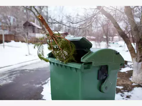 Co zrobić z choinką po świętach