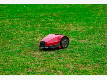 Ilustracja artykułu jak wybrać samojezdną kosiarkę do trawy?