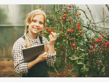 Ilustracja artykułu dlaczego nawóz do pomidorów robi karierę wśród… kwiatów doniczkowych