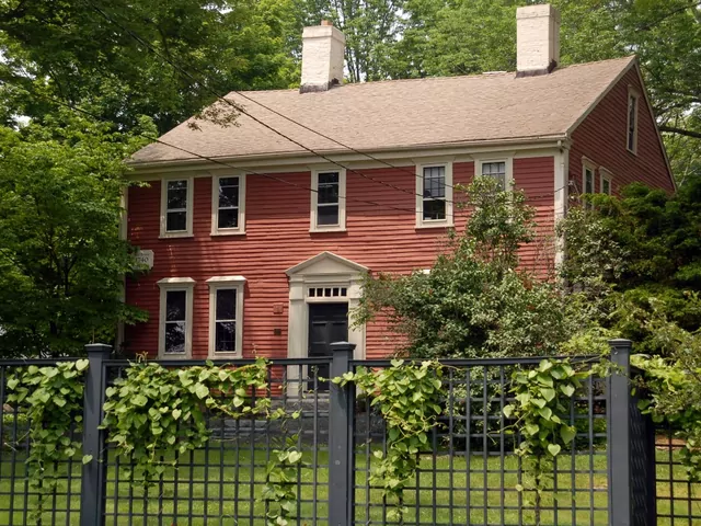 Ogrodzenia panelowe: jakie rośliny wybrać