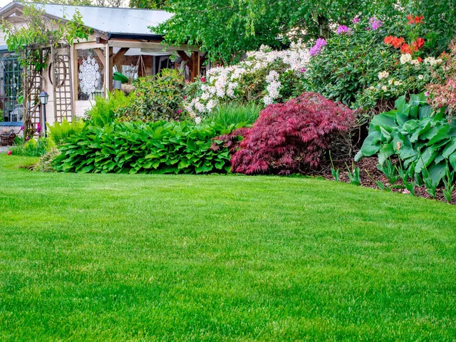 Prace czerwcowe w ogrodzie i na działce