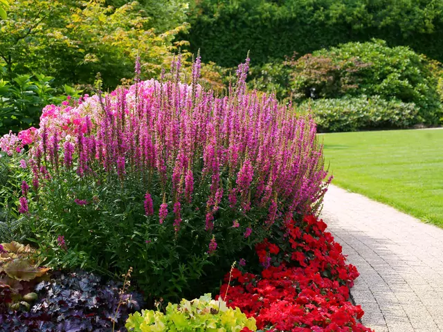 Prace w lipcu na działce