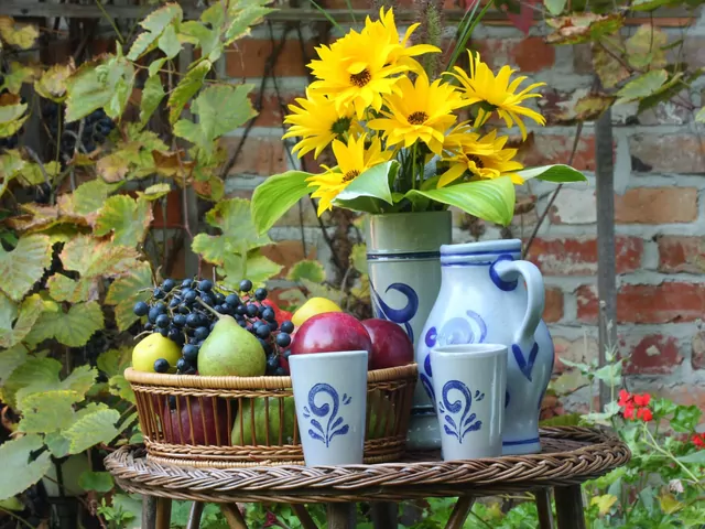 Prace w ogrodzie w listopadzie