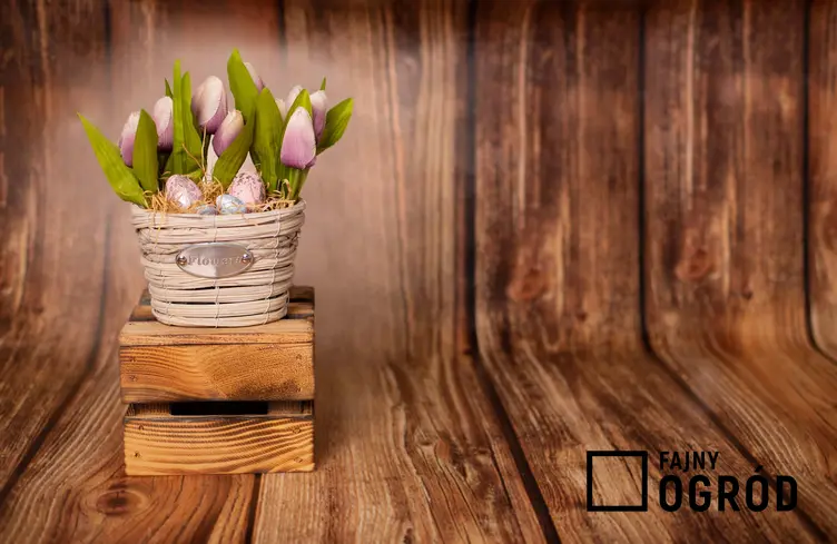 Stolik ze skrzynek drewnianych jako podstawa do kwiatów w doniczce, a także jak zrobić stolik ze skrzynek krok po kroku