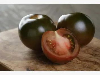 Ilustracja artykułu pomidor czekoladowy - wymagania, pielęgnacja, porady, opinie