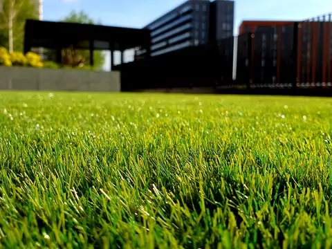 Montaż robotów koszących w ogrodzie