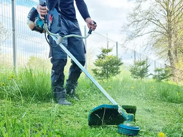 Fenomen wielozadaniowej kosy spalinowej