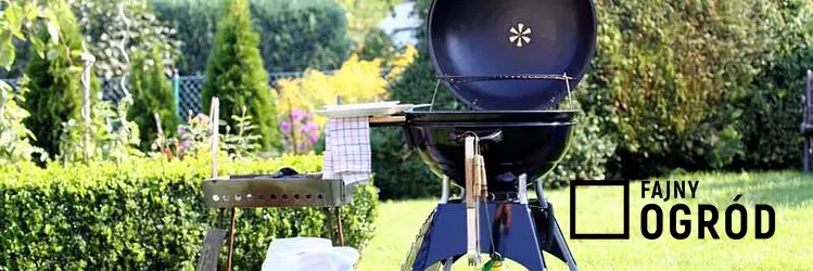 Kiełbaski na grillu w czasie sezonu grillowego, a także podpowiedzi, jak zacząć sezon grillowy na działce lub w ogrodzie