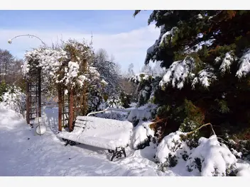 Ilustracja artykułu jak przygotować ogród do zimy? nie zapomnij o tych zabiegach