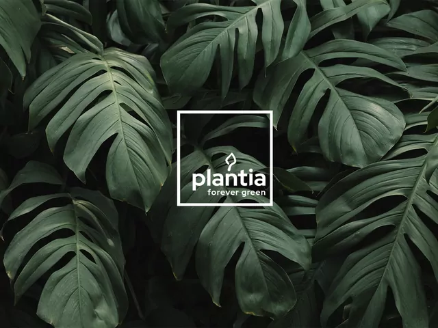 Plantia debiutuje w Rybniku 2023