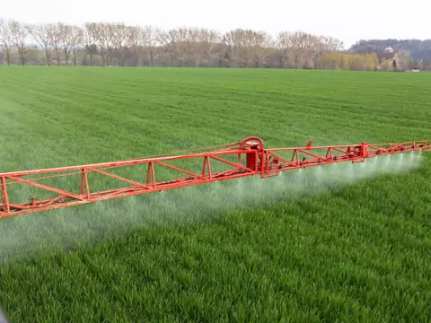 Fungicydy: skuteczne środki grzybobójcze